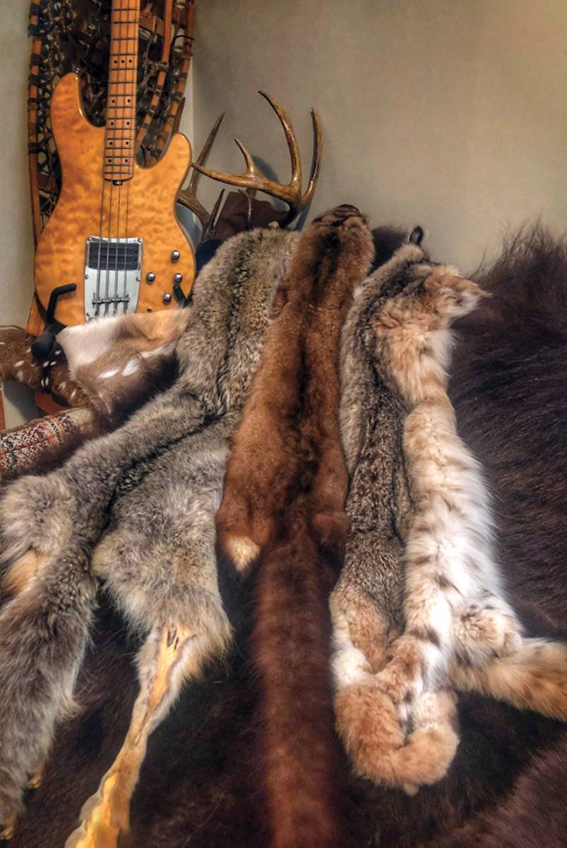Tanned furs make great office or man cave decor and conversation pieces. There is also a niche market for these goods at trapper conventions, black-powder rendezvous, flea markets and craft shows.